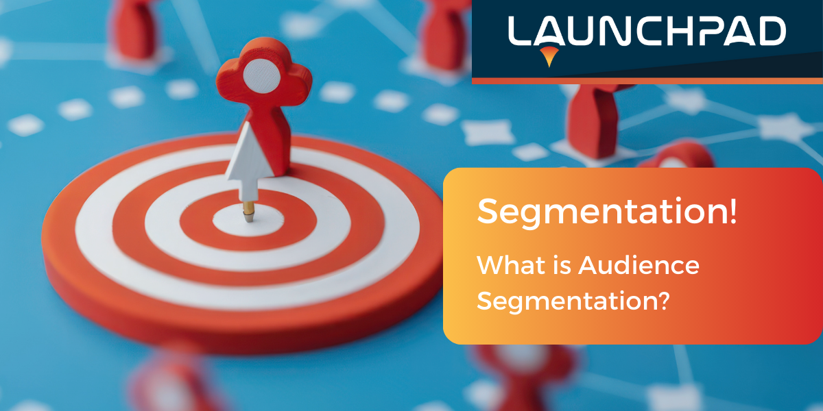 What is Audience Segmentation 3